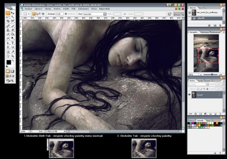 Shift+Tab skrývá Adobe paletky mimo nástrojů